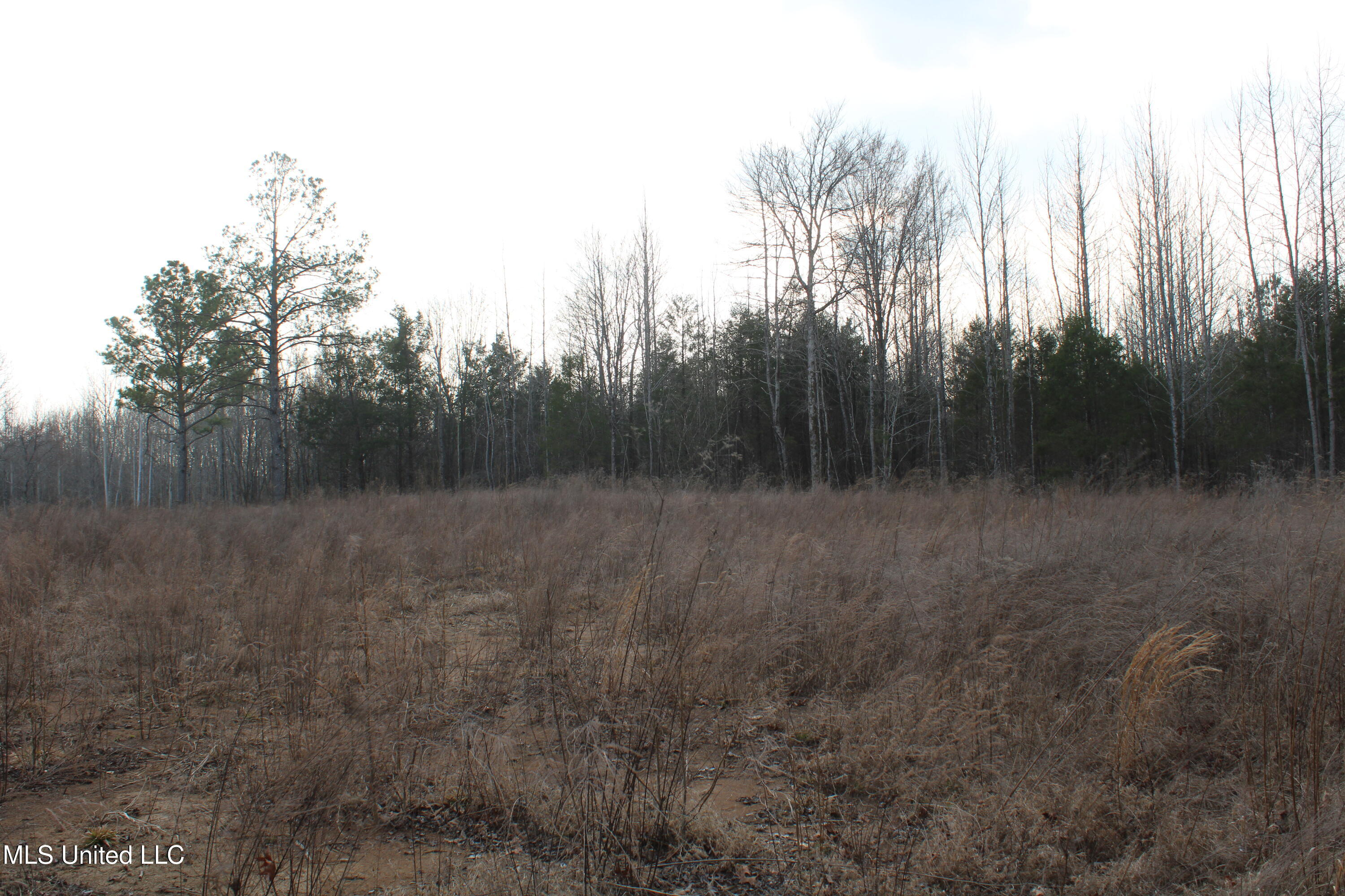 797 Gardner Road Holly Springs, MS 38635 - Photo 21 of 22 IMG_7413