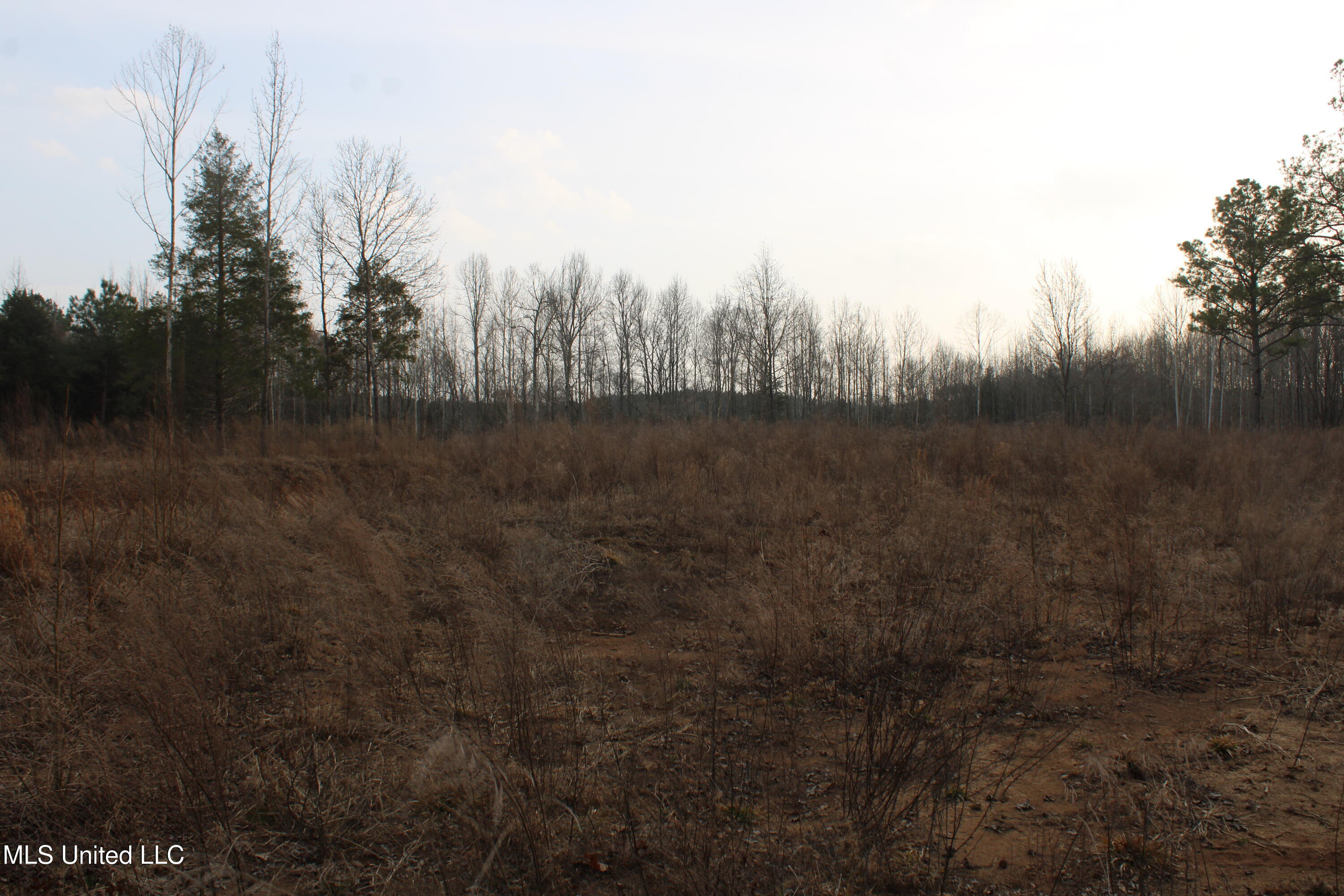 797 Gardner Road Holly Springs, MS 38635 - Photo 22 of 22 IMG_7414