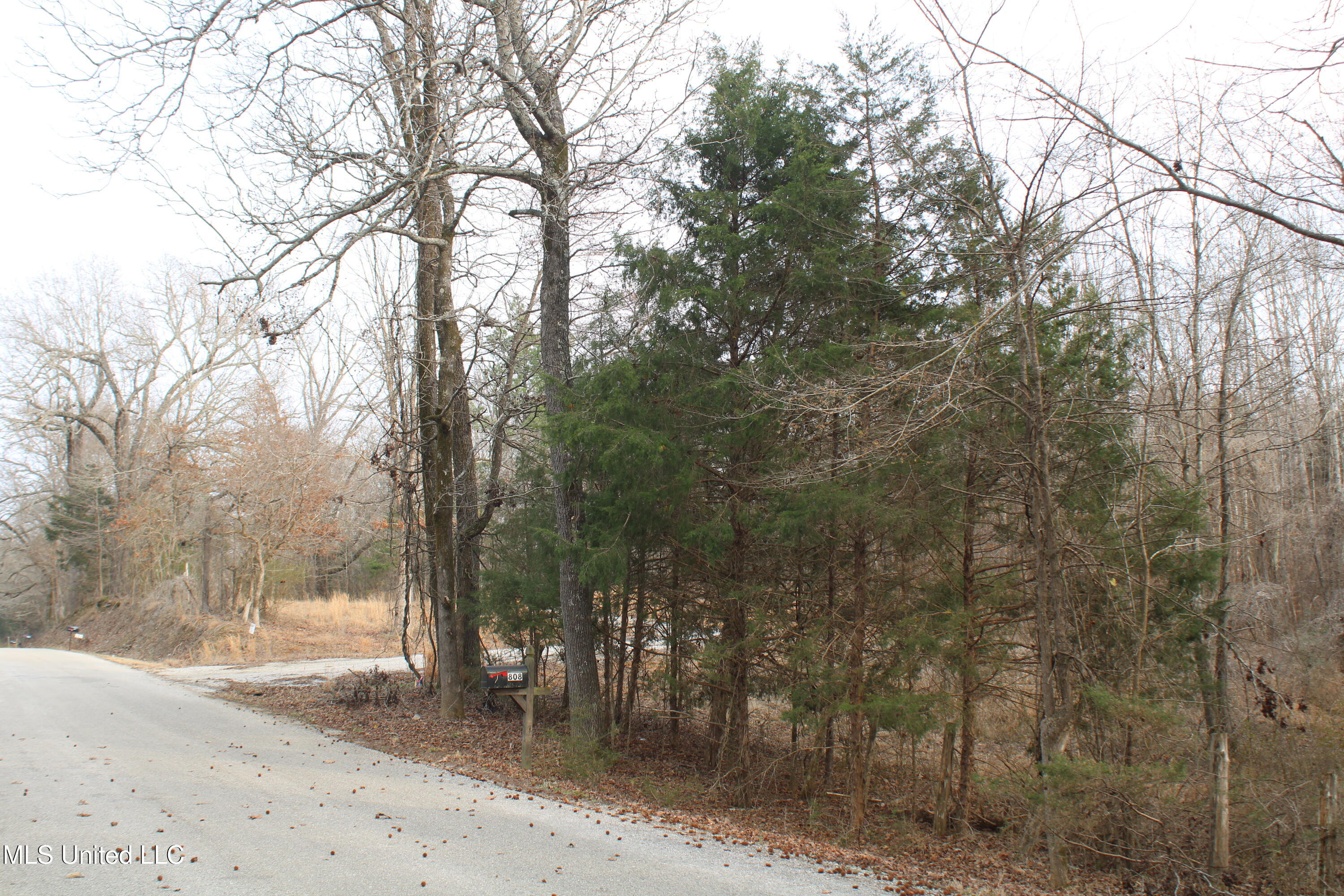 797 Gardner Road Holly Springs, MS 38635 - Photo 3 of 22 IMG_7396
