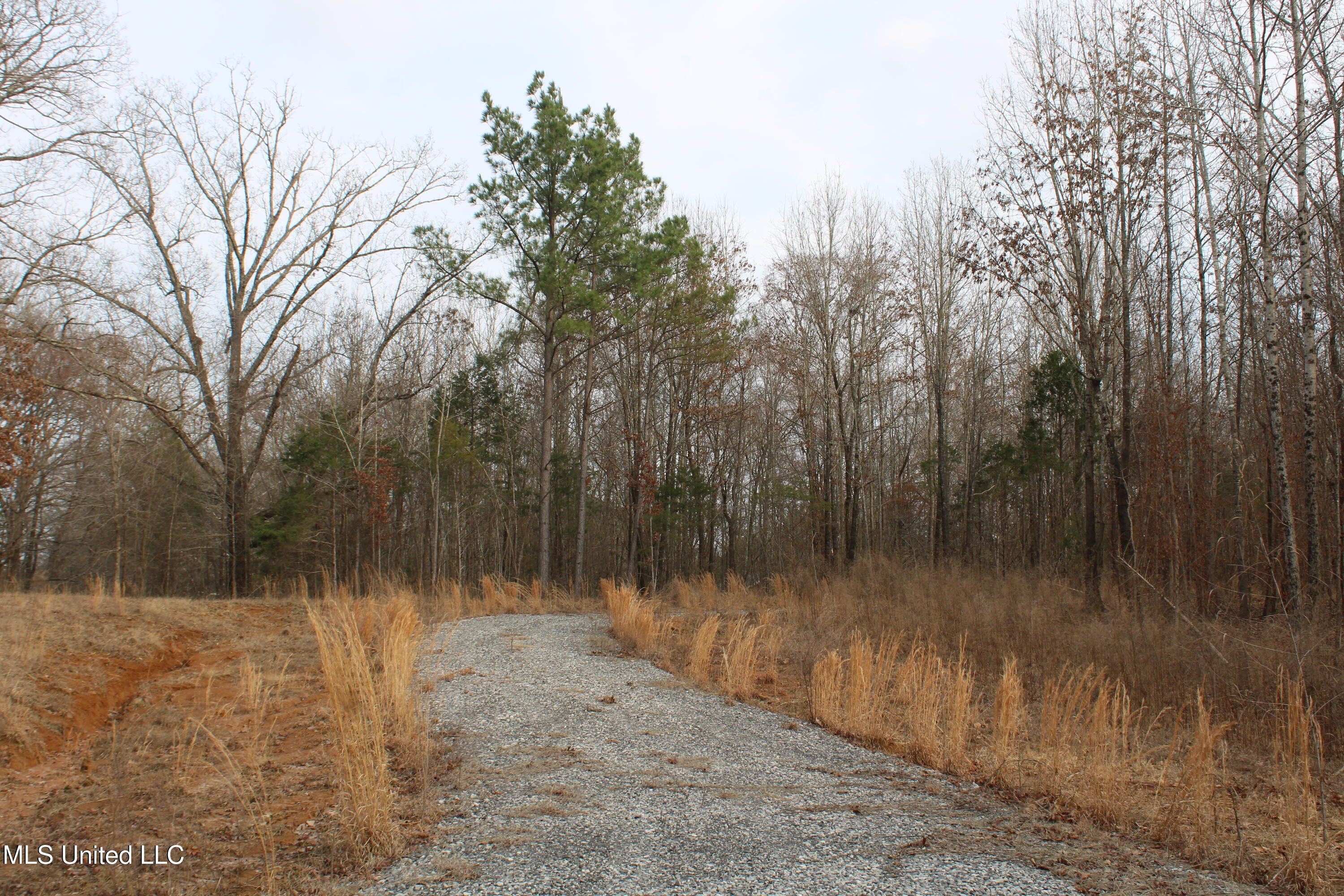 797 Gardner Road Holly Springs, MS 38635 - Photo 4 of 22 IMG_7397
