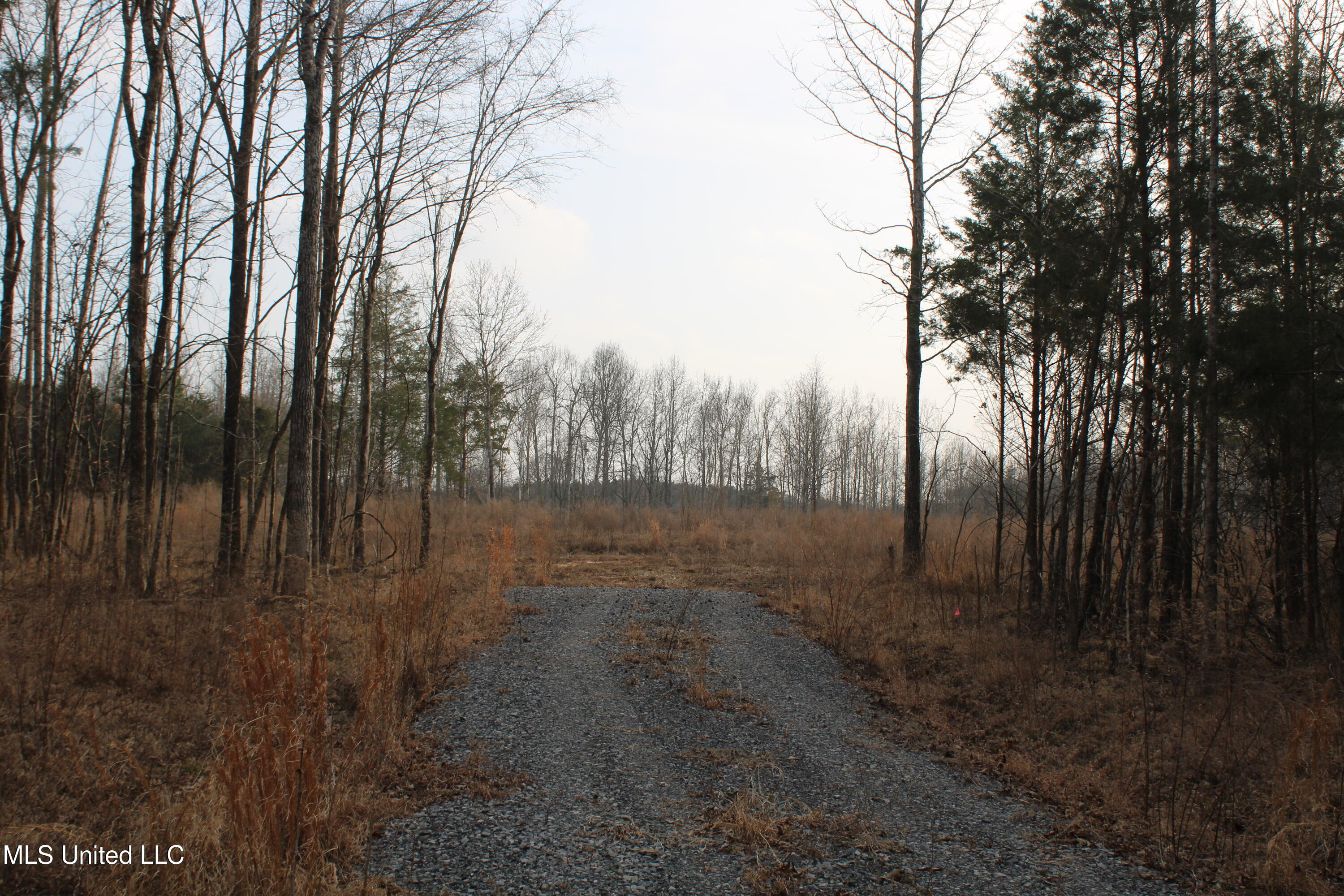 797 Gardner Road Holly Springs, MS 38635 - Photo 6 of 22 IMG_7402