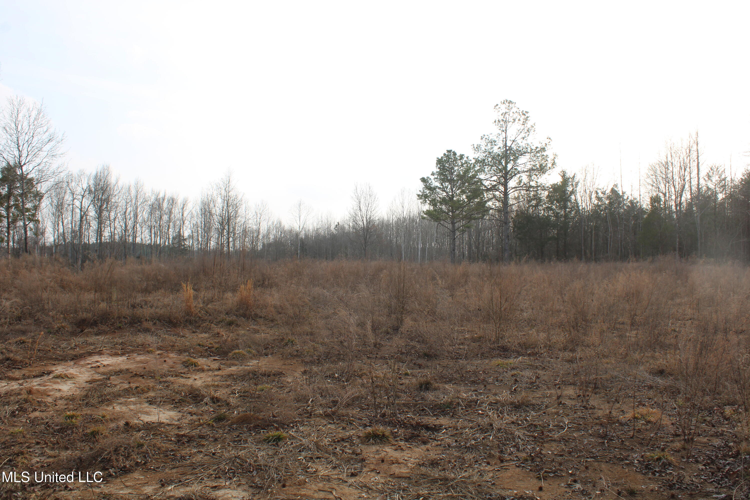 797 Gardner Road Holly Springs, MS 38635 - Photo 7 of 22 IMG_7404
