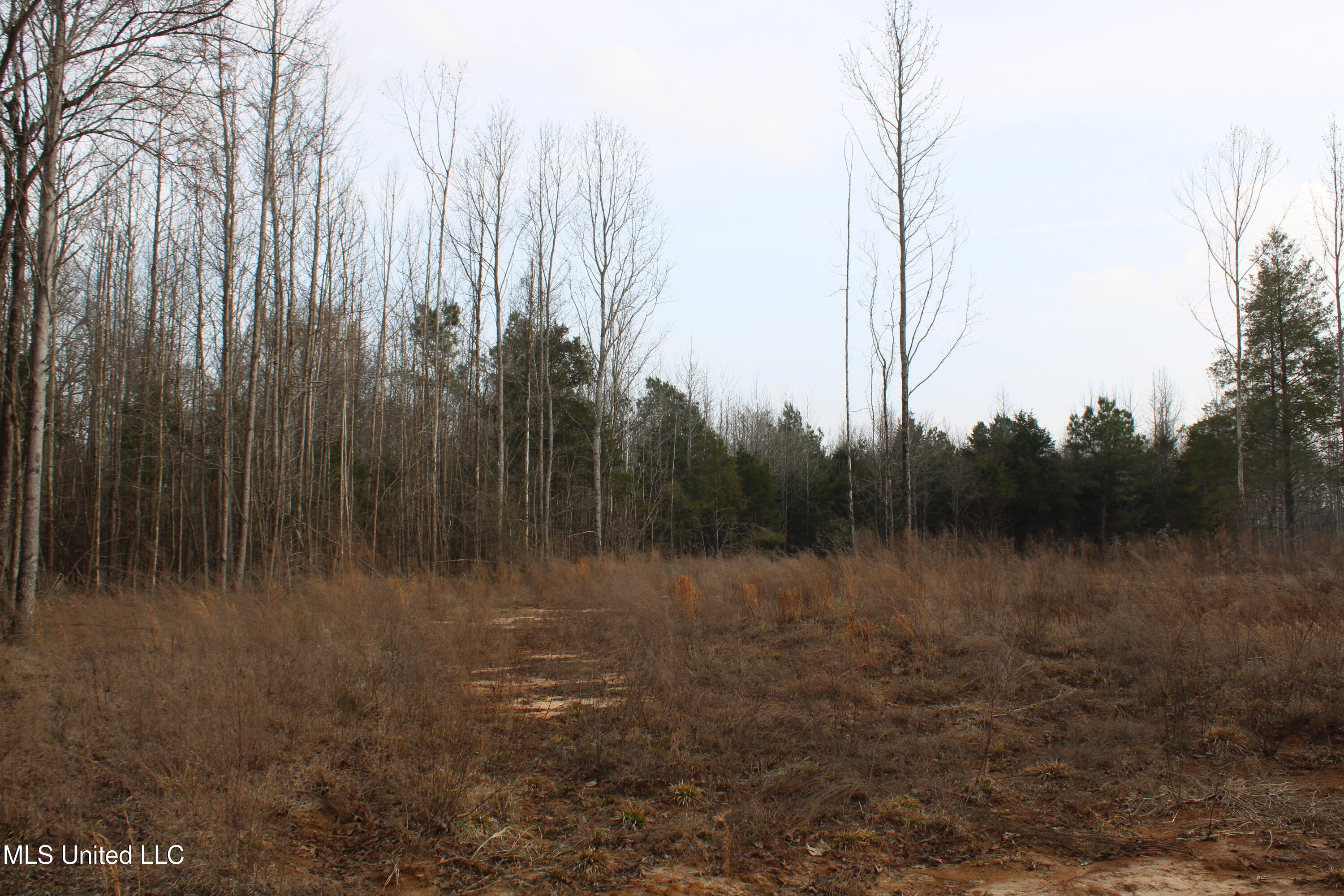 797 Gardner Road Holly Springs, MS 38635 - Photo 8 of 22 IMG_7405