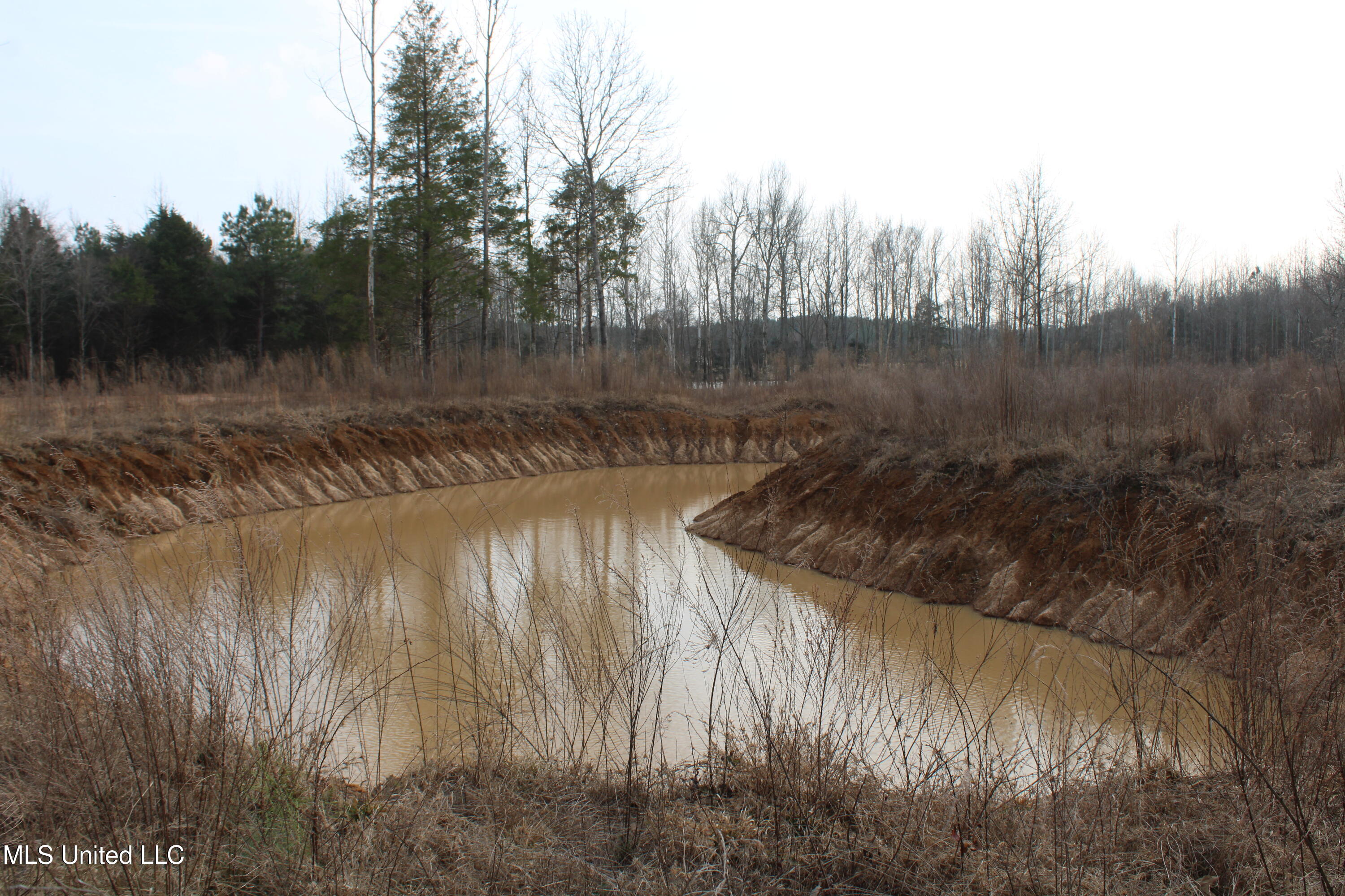 797 Gardner Road Holly Springs, MS 38635 - Photo 9 of 22 IMG_7406