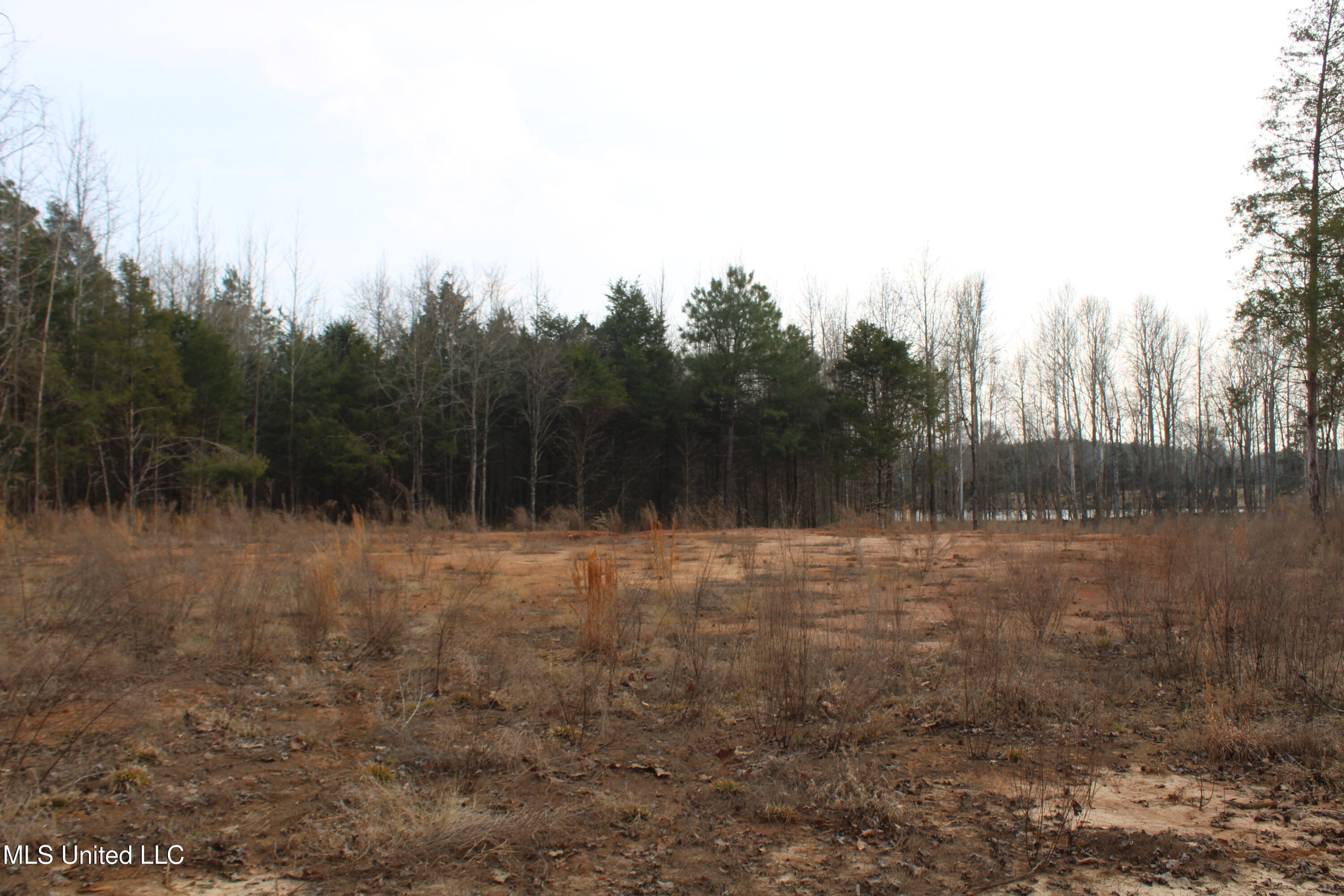 797 Gardner Road Holly Springs, MS 38635 - Photo 10 of 22 IMG_7407