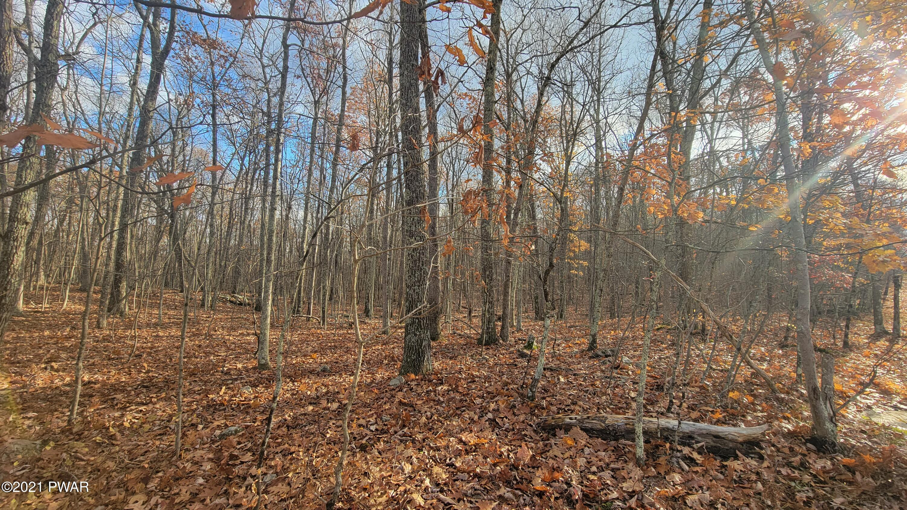 Lot 61 Perry Pond Road Narrowsburg, NY 12764 - Photo 1 of 19