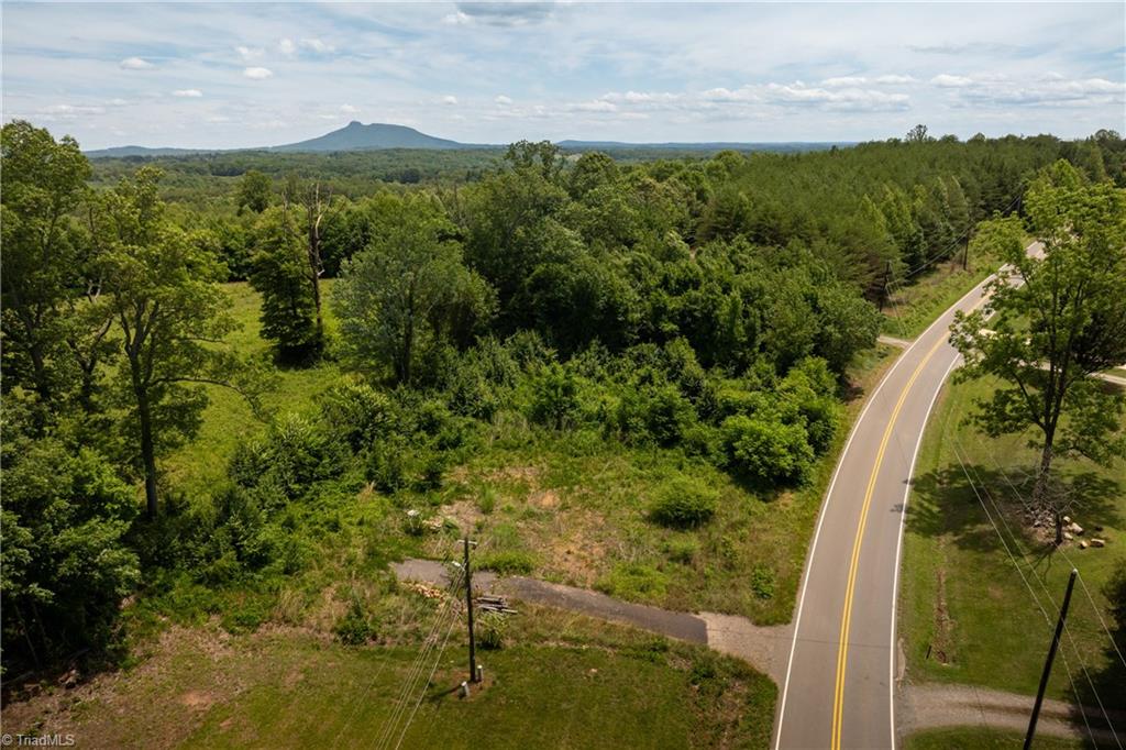 309 Ararat Longhill Road Pilot Mountain, NC 27041 - Photo 26 of 34
