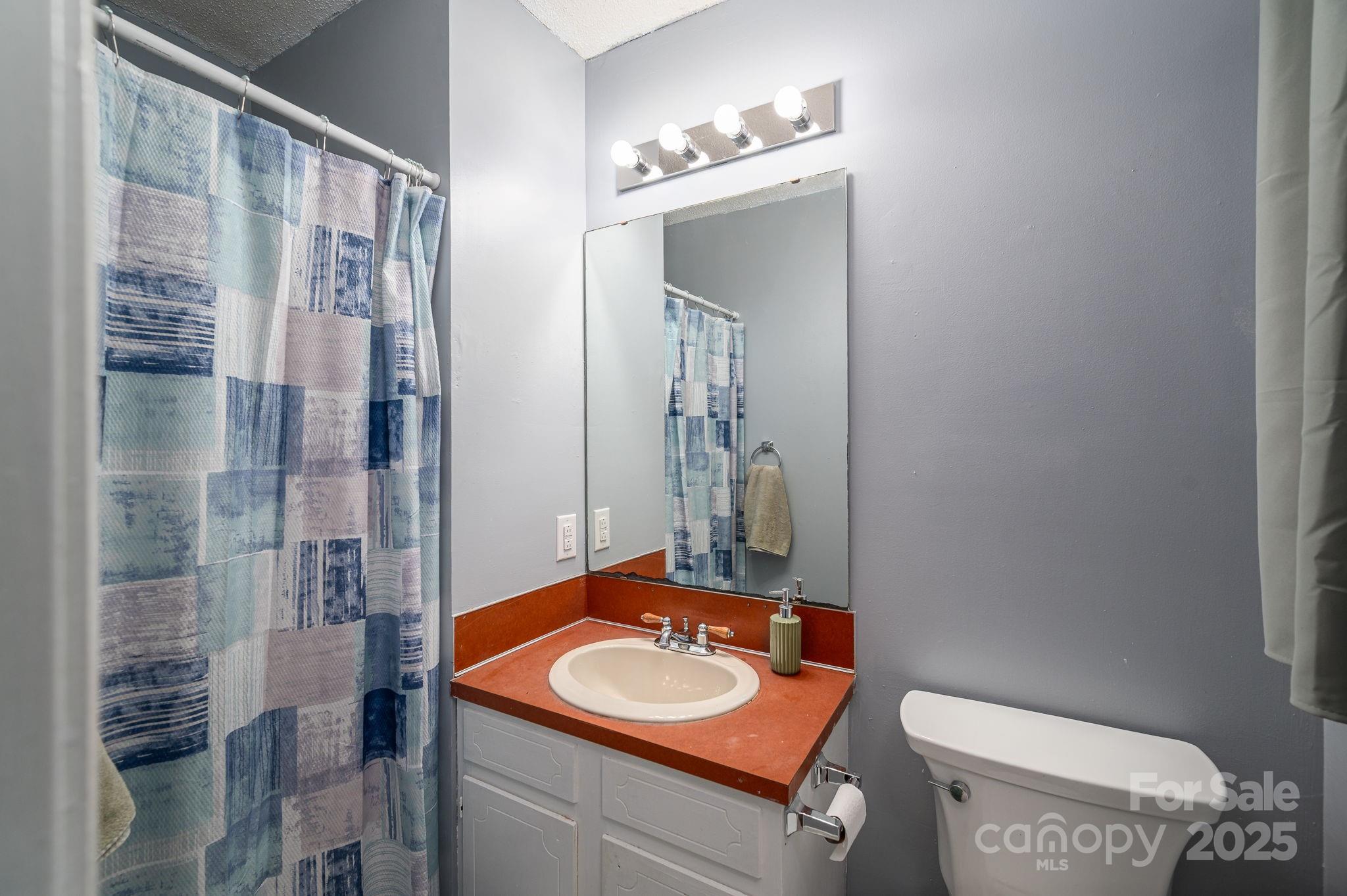 109 White Rock Road Grover, NC 28073 - Photo 14 of 37 a bathroom with a sink a toilet and shower