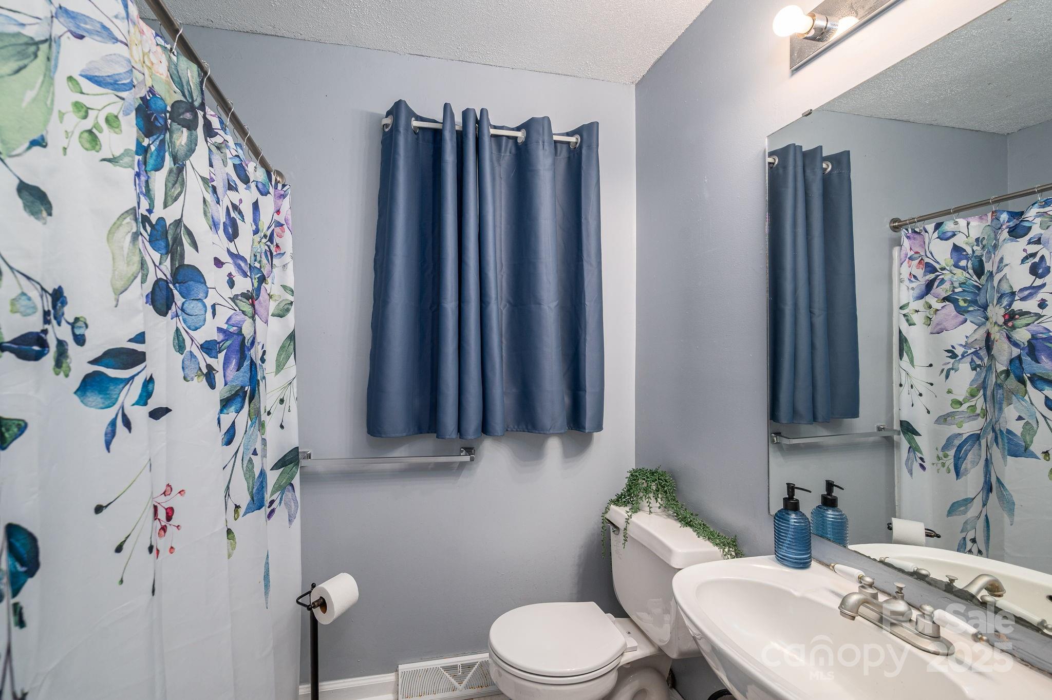 109 White Rock Road Grover, NC 28073 - Photo 19 of 37 a bathroom with a toilet and a sink