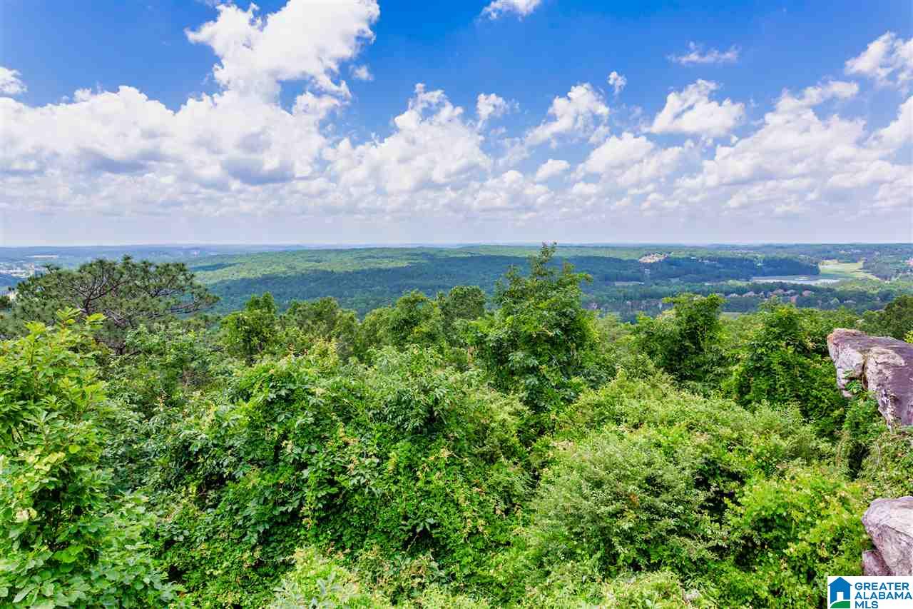 288 Shades Crest Road Birmingham, AL 35226 - Photo 7 of 47