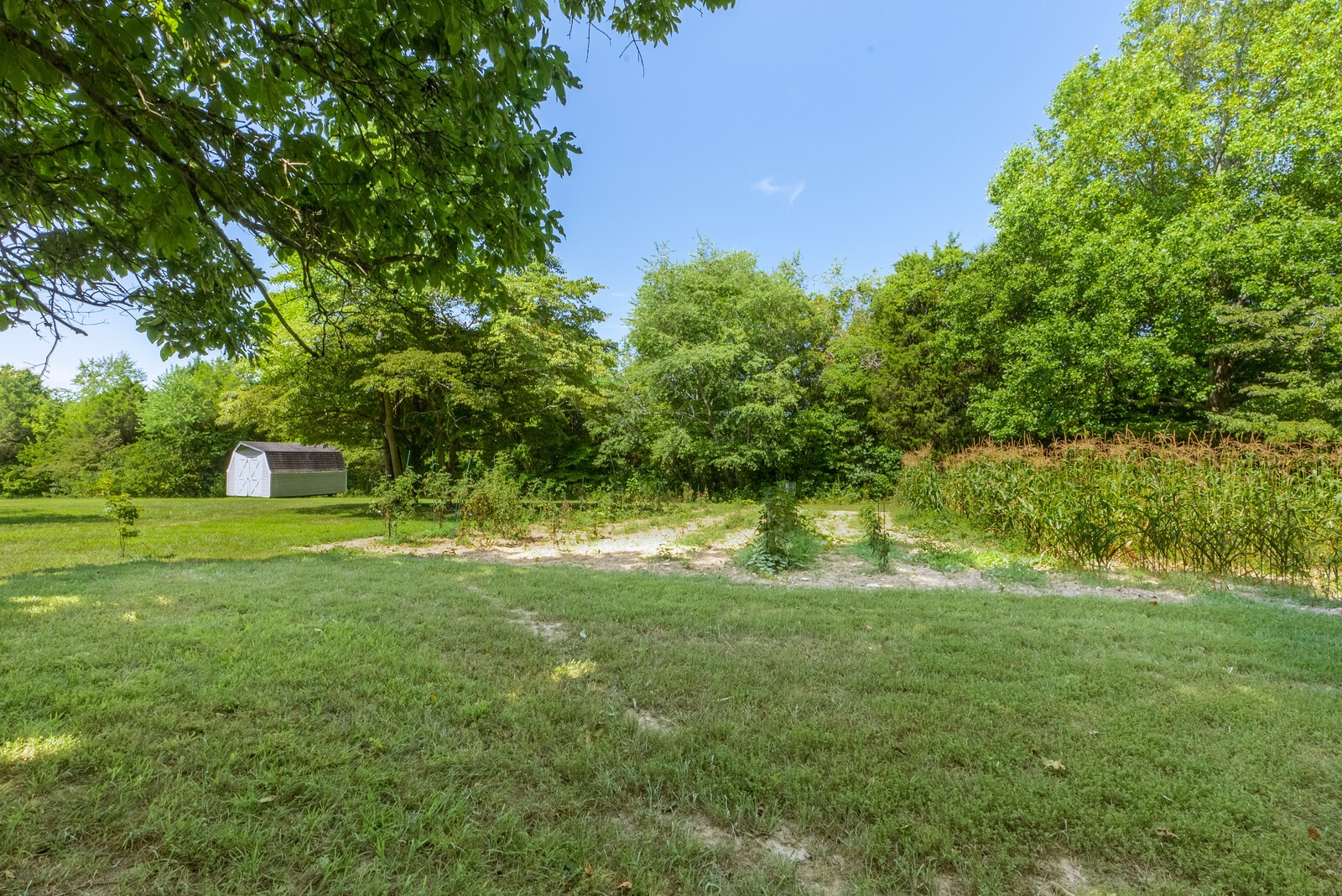 1207 East Ab Wade Road Portland, TN 37148 - Photo 14 of 14 a view of a trees in a yard