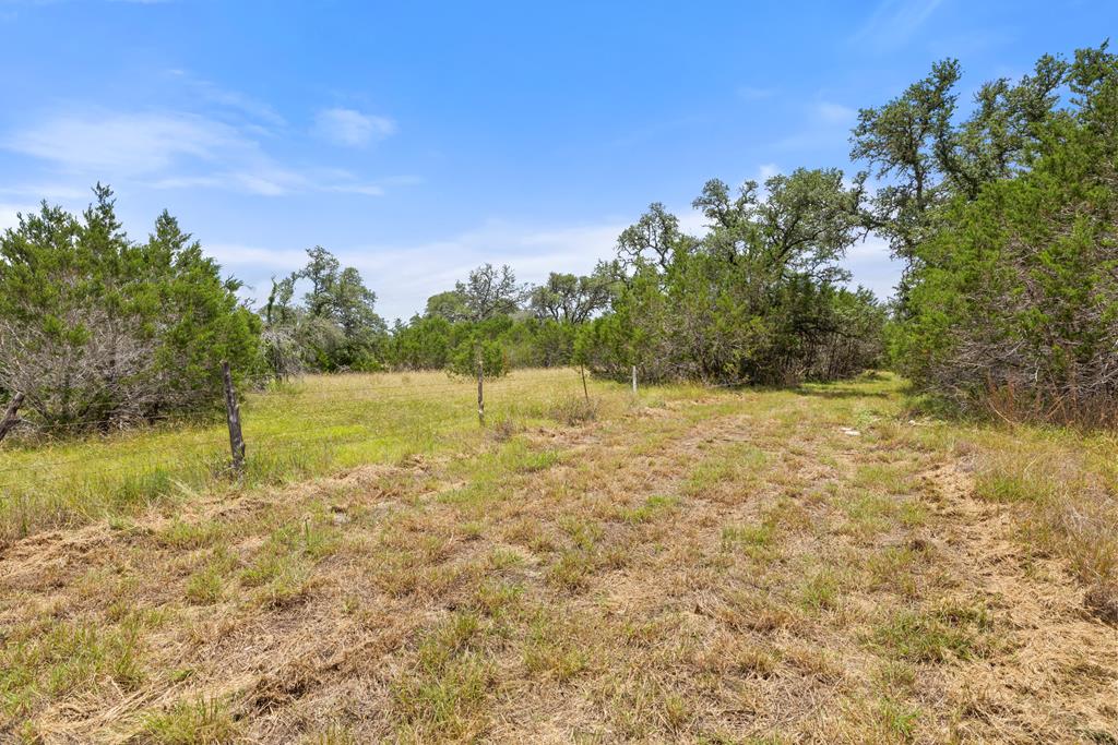 577 Rocky River Road, Unit 8 Blanco, TX 78606 - Photo 5 of 14 Lot 08 in Rocky River Ranch