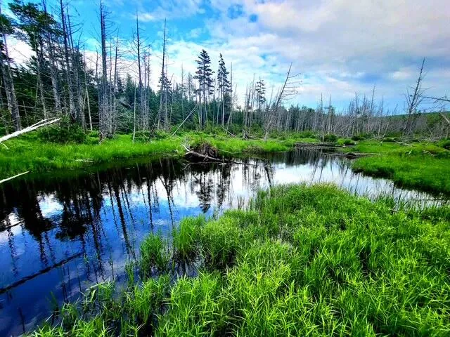 $45,000 | Lot 11 Morrison Brook, Unit ACRES, Oakfield, ME 04763