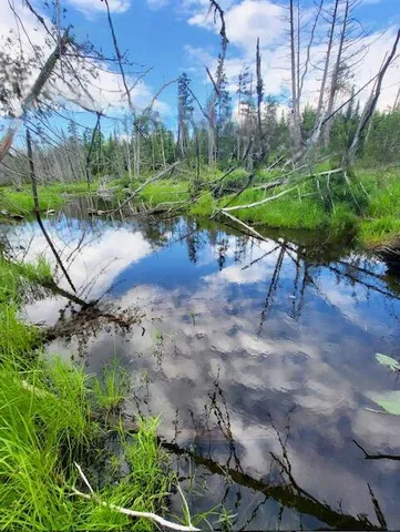 $45,000 | Lot 11 Morrison Brook, Unit ACRES, Oakfield, ME 04763