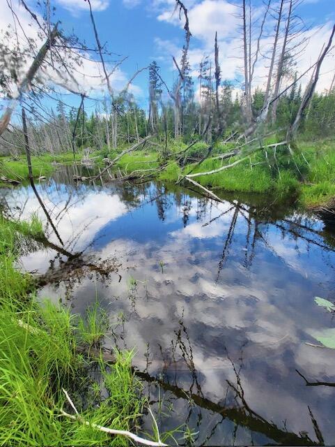 Lot 11 Morrison Brook, Unit ACRES Oakfield, ME 04763 - Photo 2 of 6 8565988397137259210