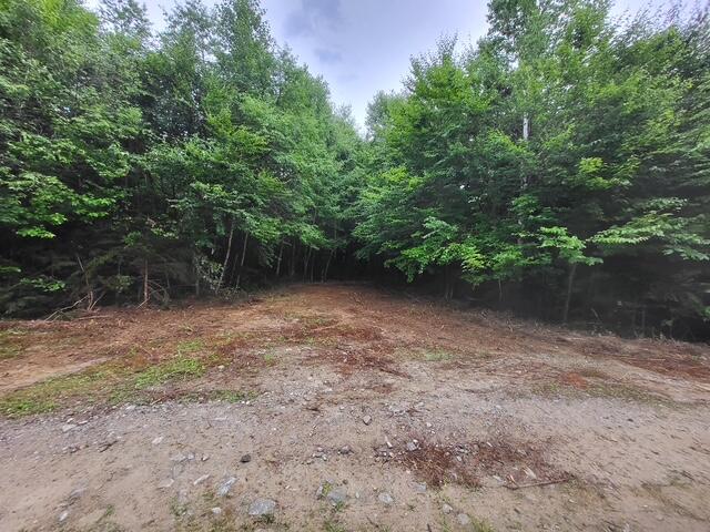 Lot 11 Morrison Brook, Unit ACRES Oakfield, ME 04763 - Photo 3 of 6 168812024962128262