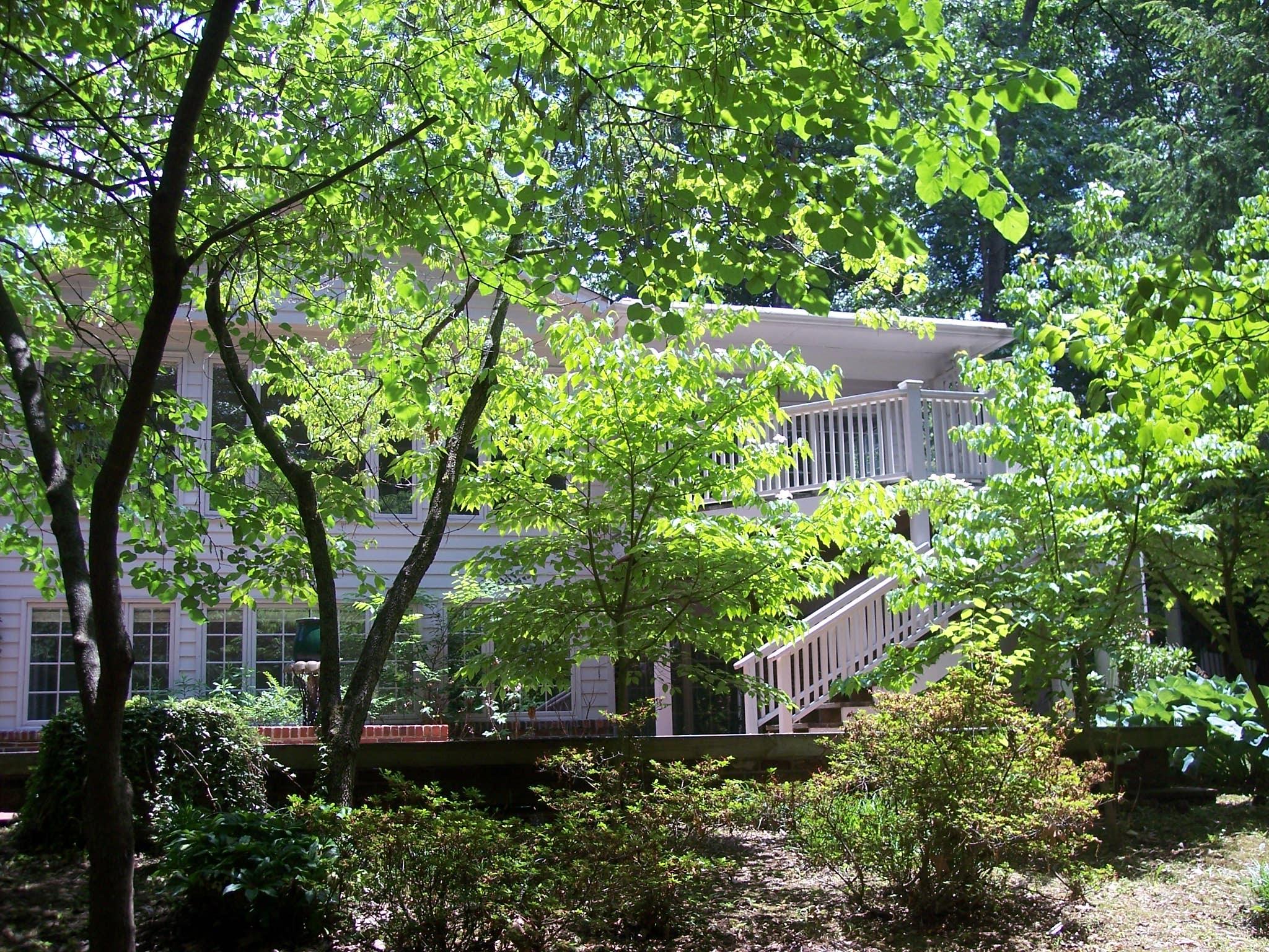 809 Kempton Road Knoxville, TN 37909 - Photo 33 of 35 john sadler images 033