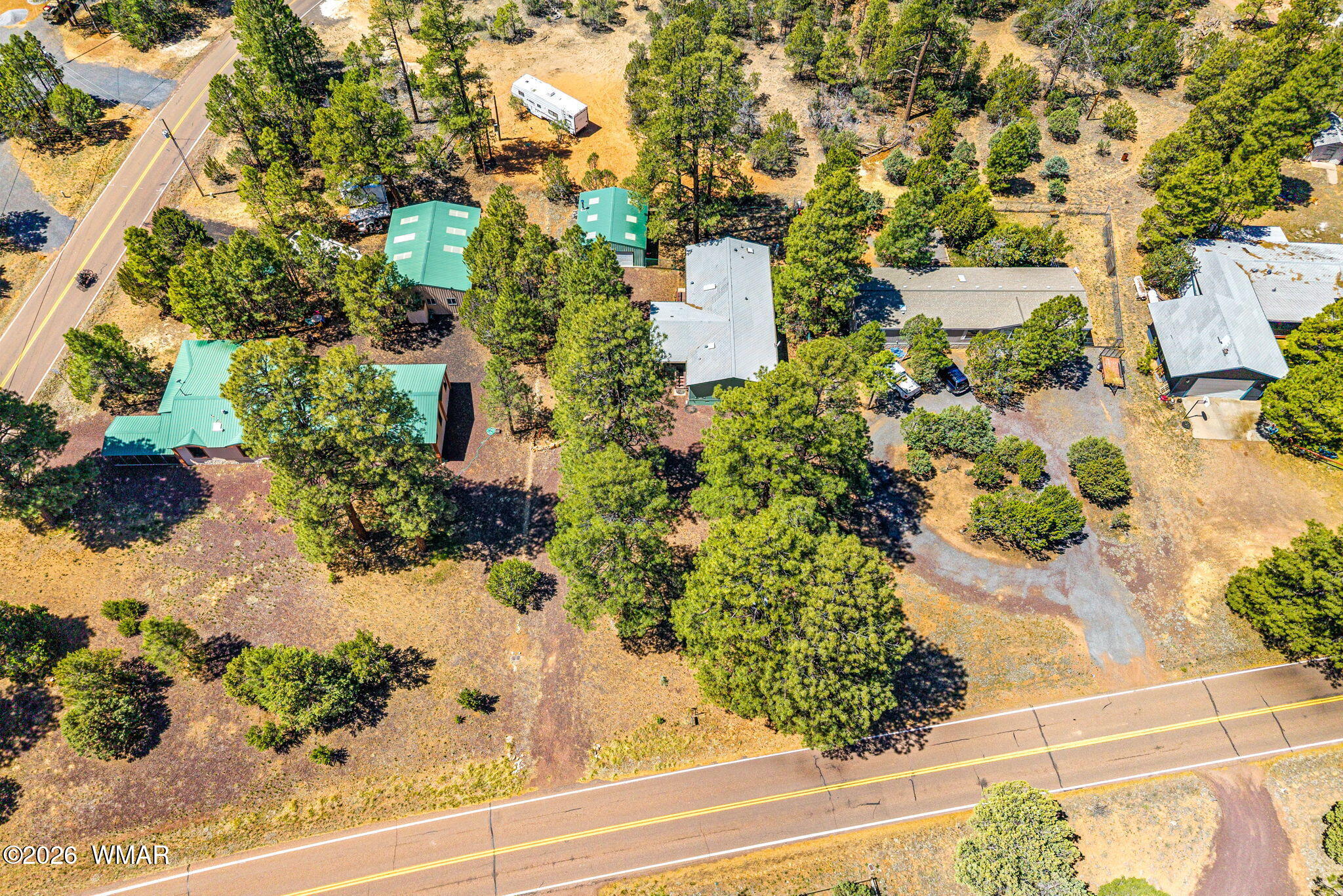 2908 Pine Rim Road Overgaard, AZ 85933 - Photo 30 of 34 a view of a garden with plants