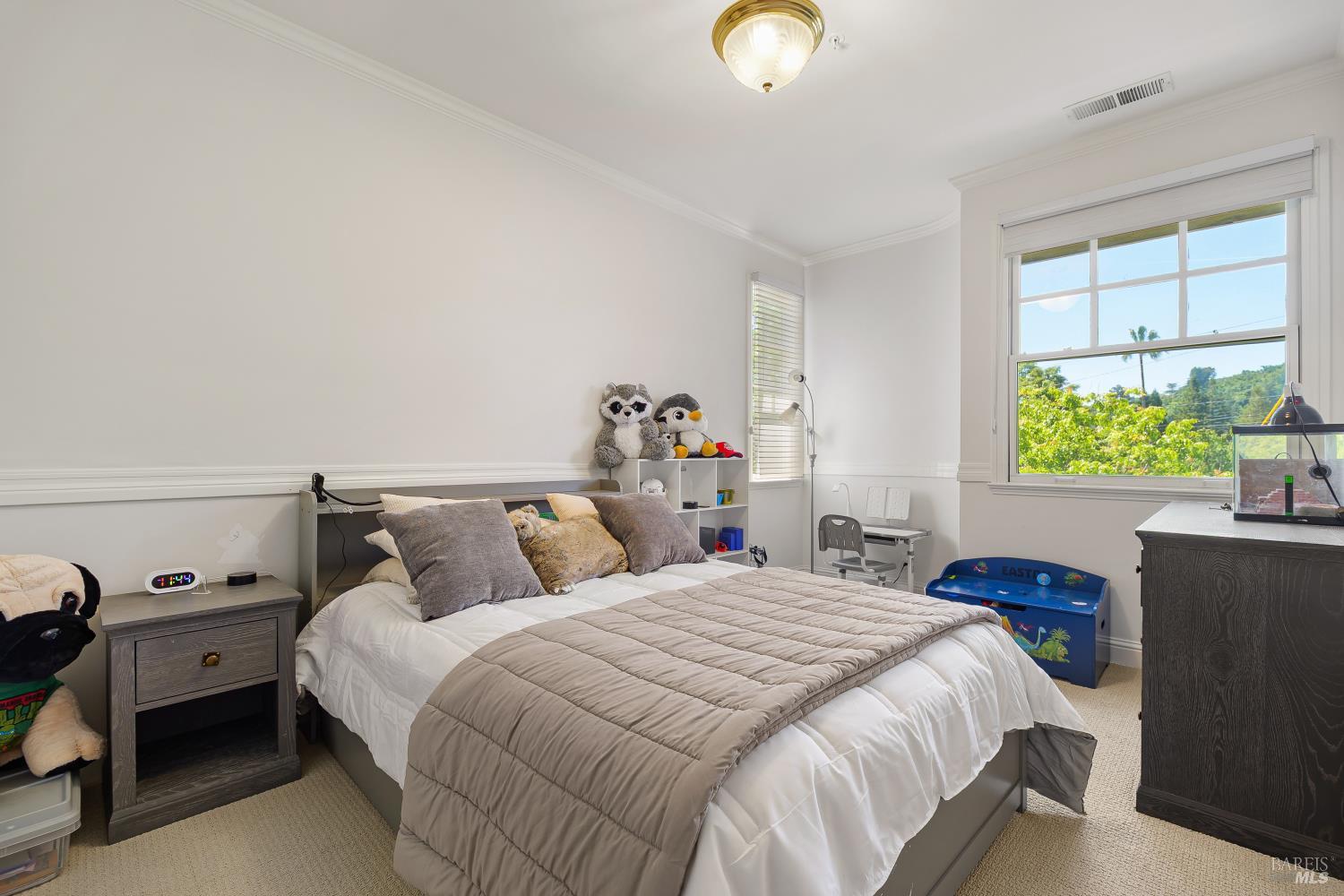 8 Center Street San Rafael, CA 94901 - Photo 18 of 29