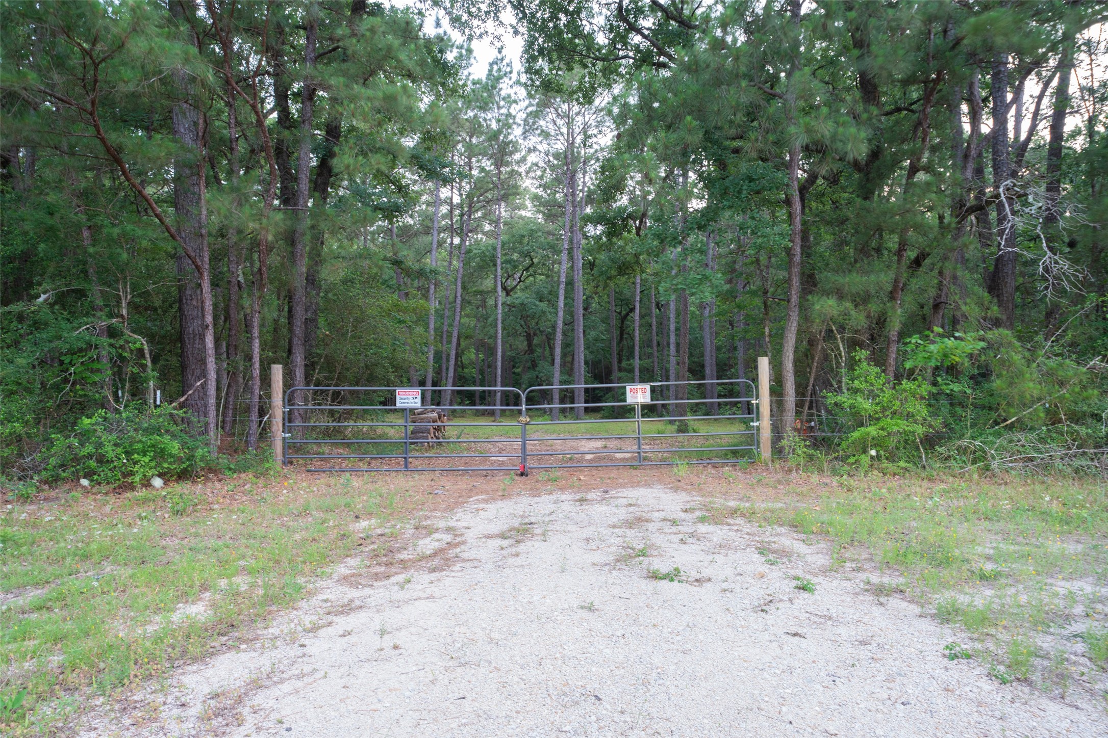 980 N Point North Huntsville, TX 77320 - Photo 6 of 45