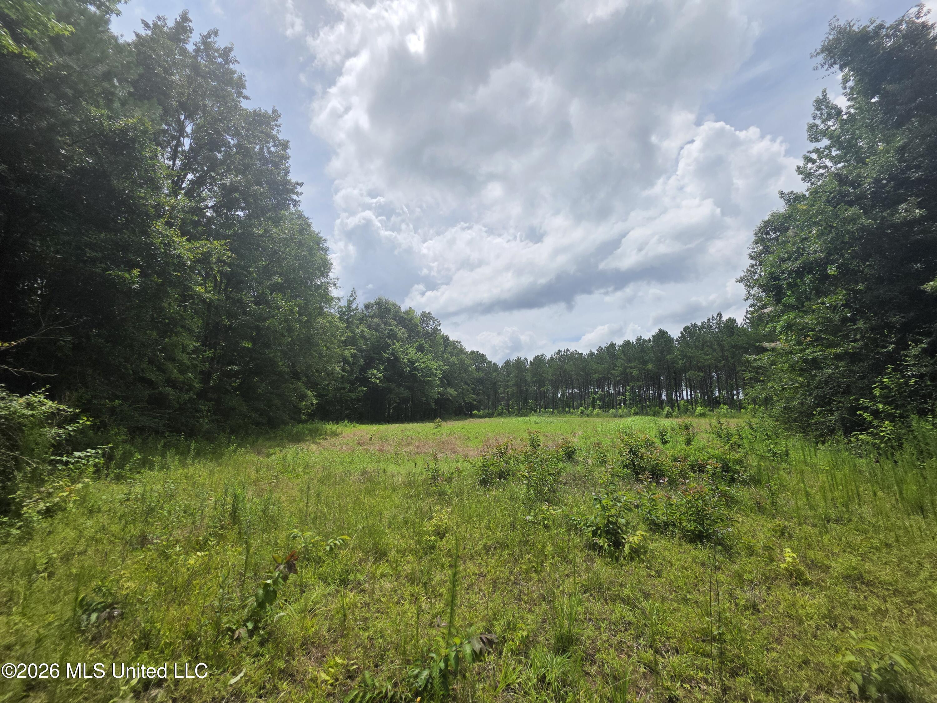244 Foster Road Sontag, MS 39665 - Photo 60 of 105 35597
