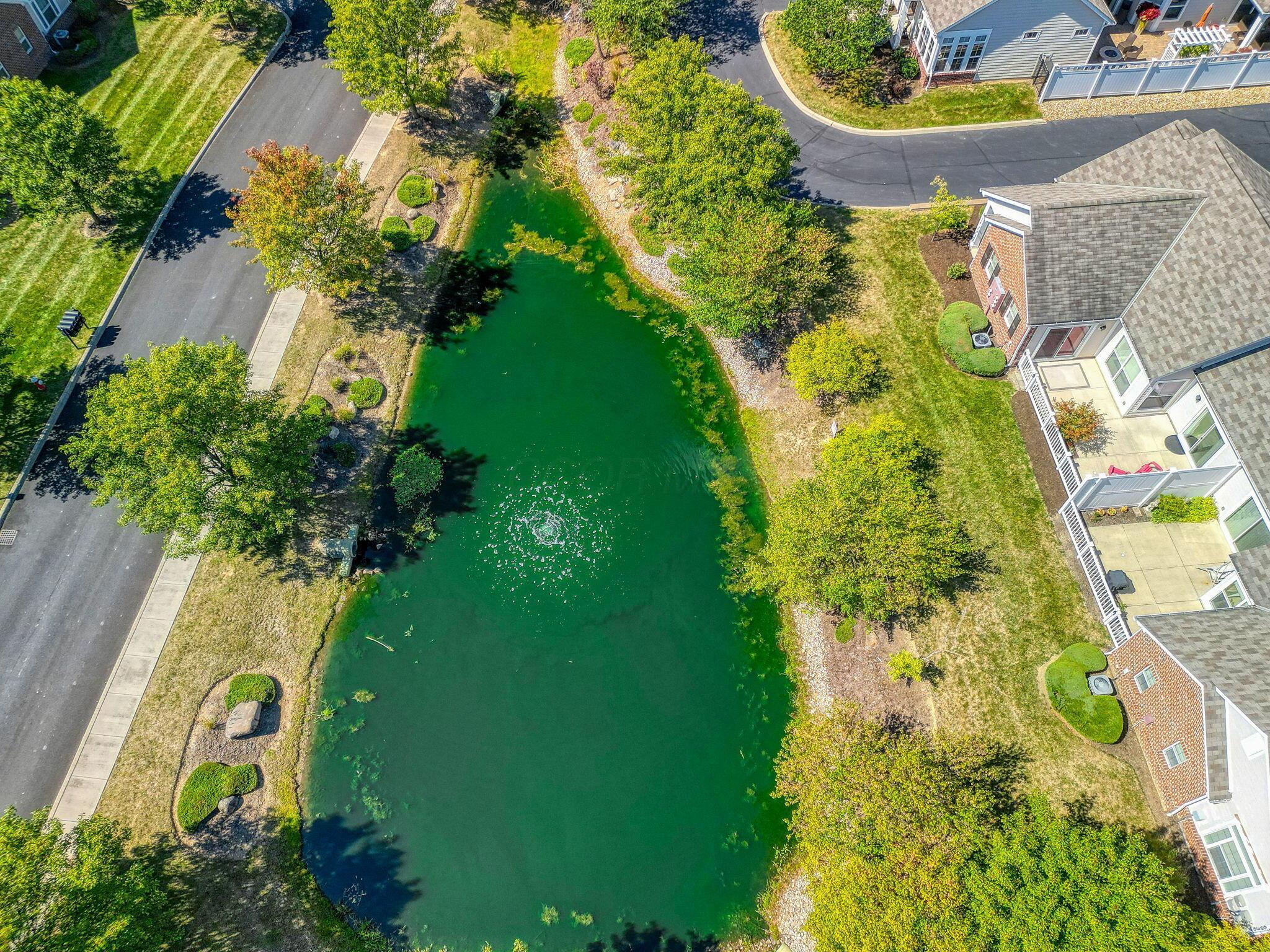 6931 Rothwell Street New Albany, OH 43054 - Photo 55 of 58 Community pond