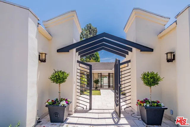 a potted plant sitting in front of a house