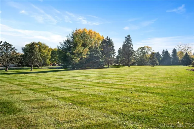 a view of yard with large trees