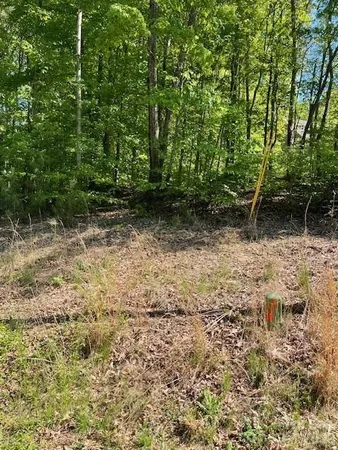a view of backyard with green space