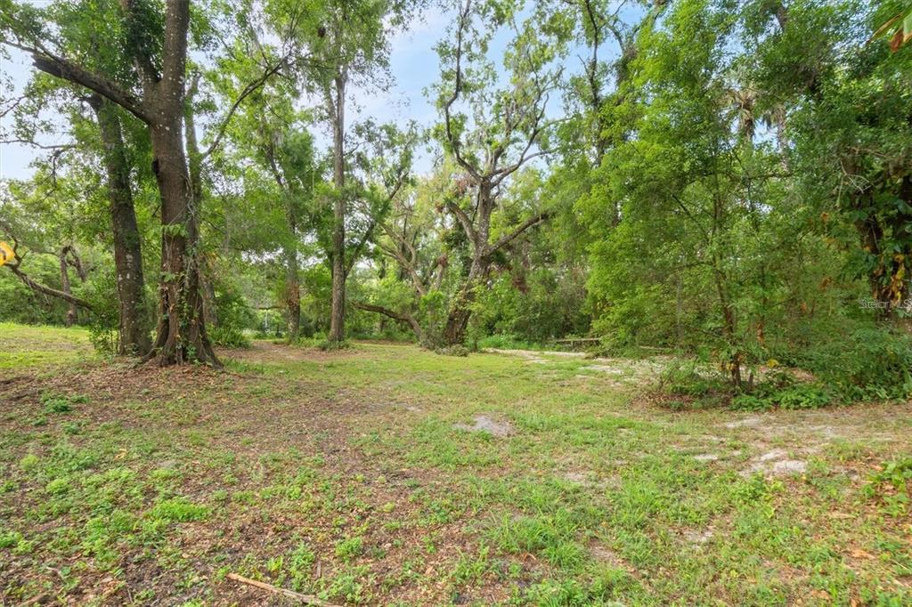 6005 Ike Smith Road Plant City, FL 33565 - Photo 23 of 41