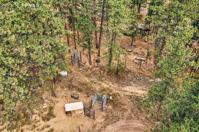 1321 Stoll Ranch Road Lake George, CO 80827 - Photo 46 of 50 Gallery Image 46