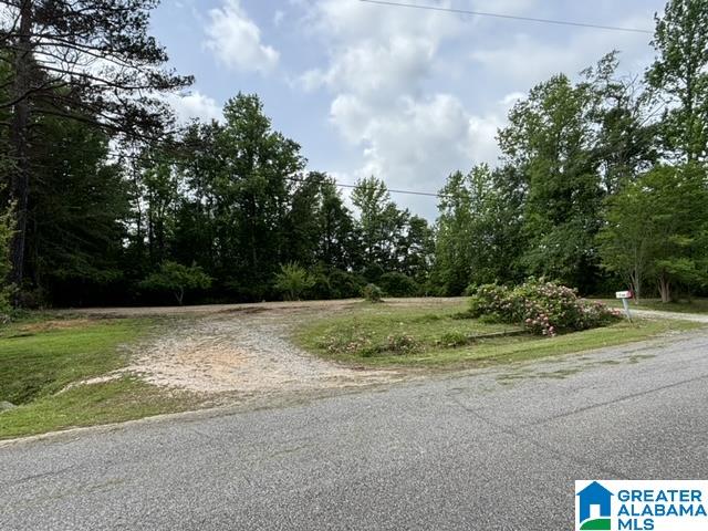 64 County Road 448 Clanton, AL 35046 - Photo 2 of 3