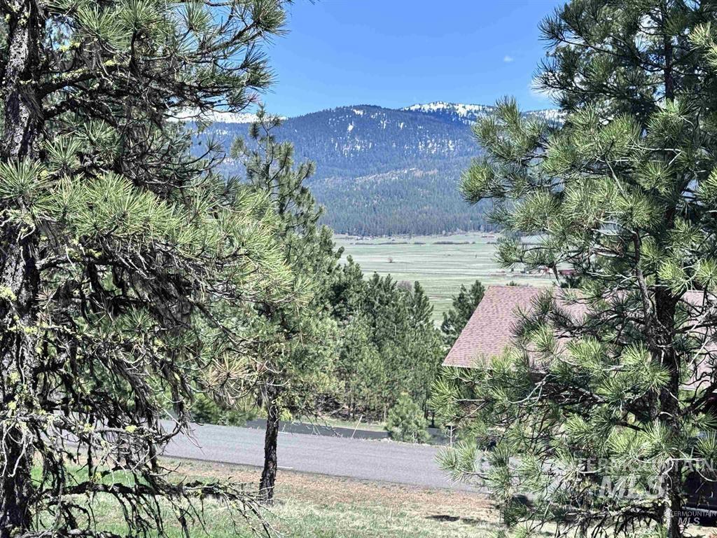 Lot 19 Hot Springs Road New Meadows, ID 83654 - Photo 3 of 28
