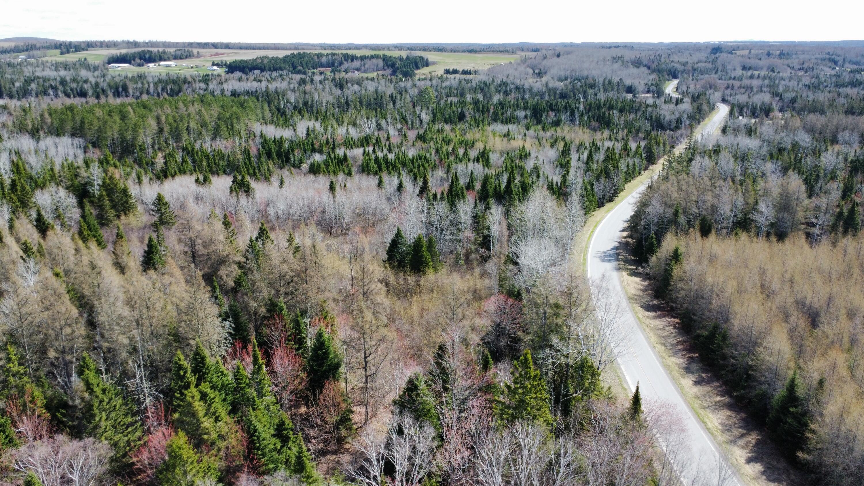 Lot 104 Beaulieu Road Caribou, ME 04736 - Photo 8 of 16 dji_fly_20250509_094758_40_1746798486445