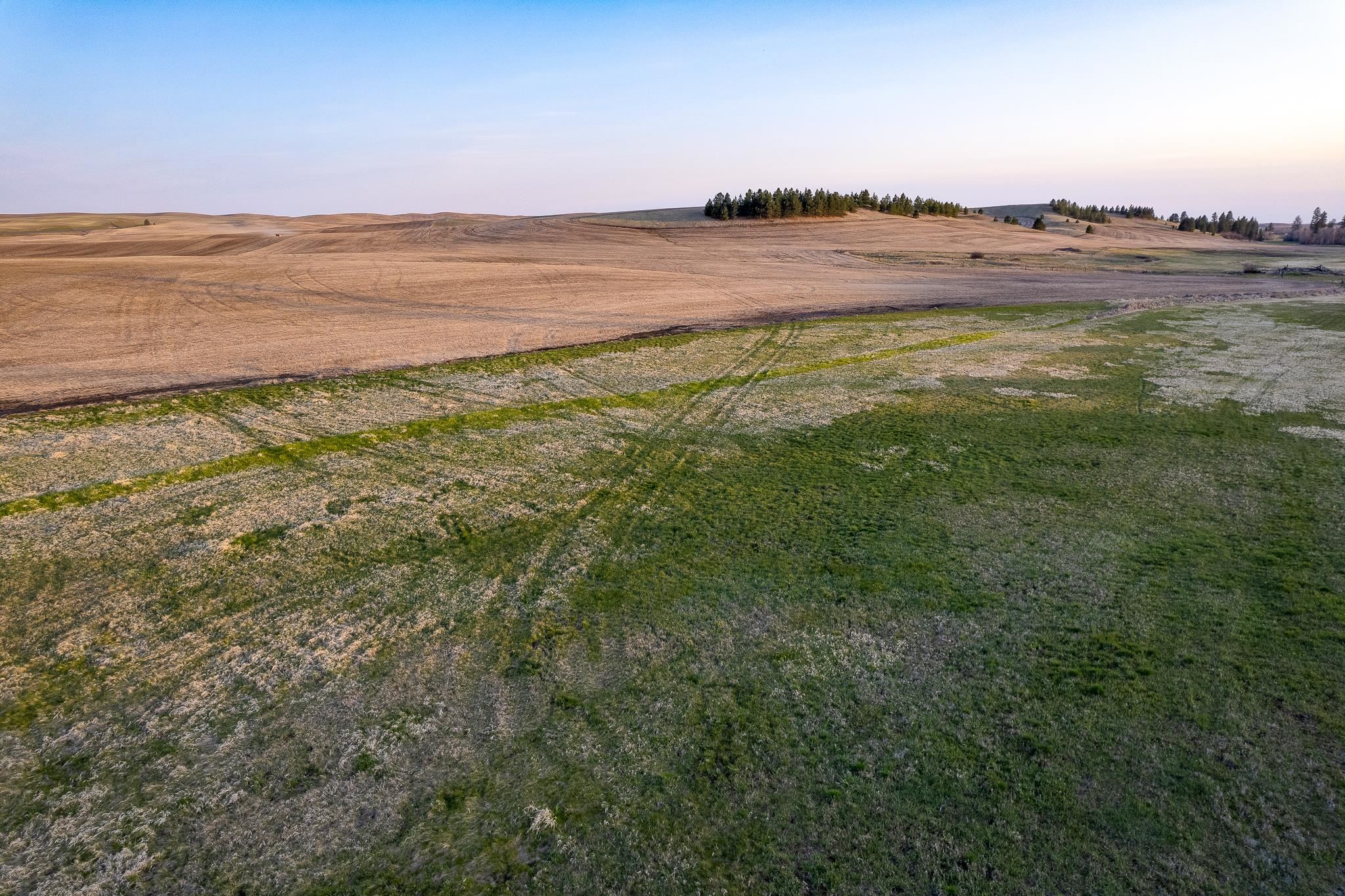 Lot 2 East Cheney-Spangle Road, Unit PARCEL 32085 9041 Spangle, WA 99031 - Photo 19 of 28