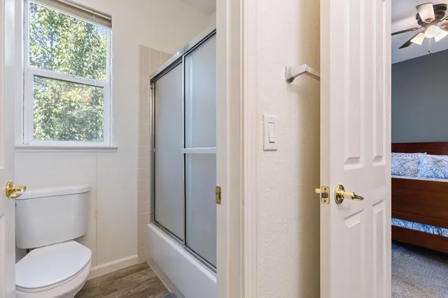 a view of a yard with plants and trees