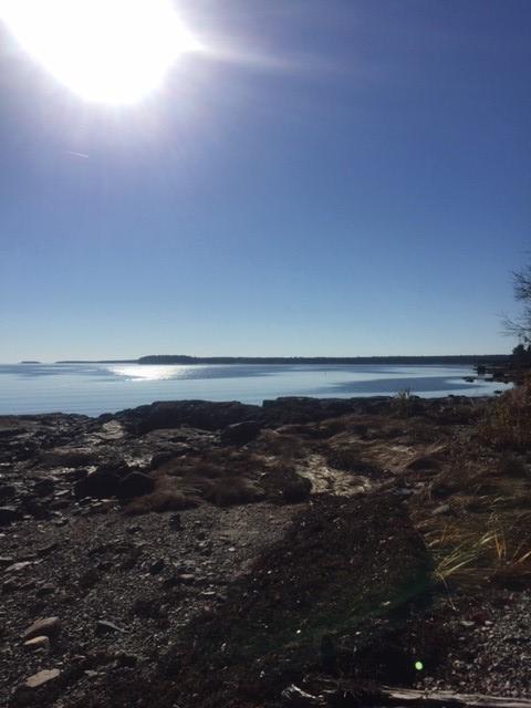 516 Gouldsboro Point Road Gouldsboro, ME 04607 - Photo 52 of 52 wf