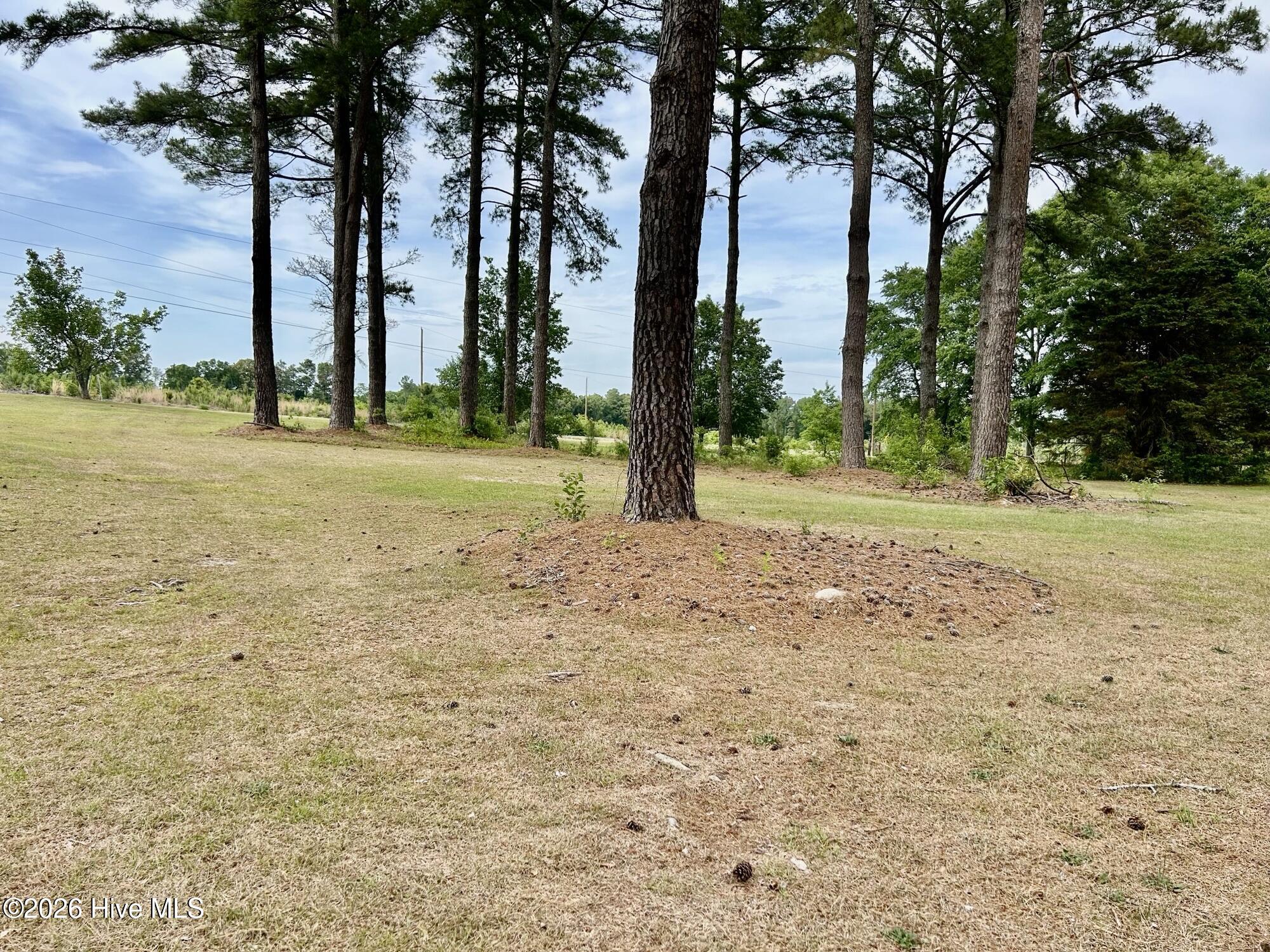 397 Johns Road Maxton, NC 28364 - Photo 28 of 32 Land