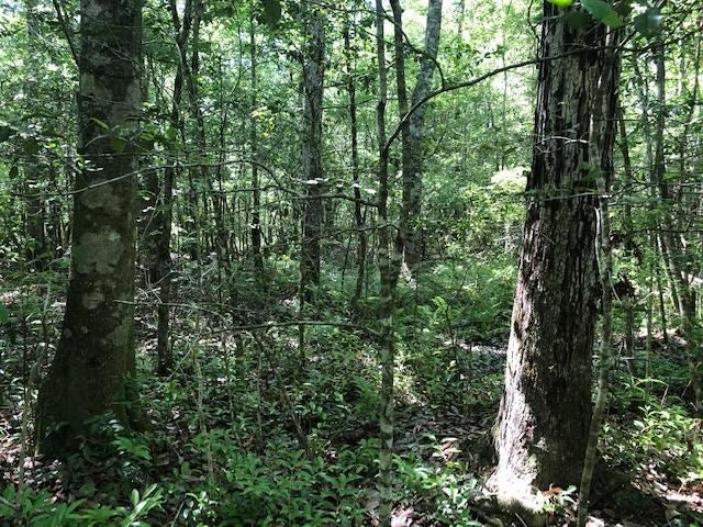 331 NORTH Opp Al Opp, AL 36467 - Photo 7 of 38 Gallery Image 7