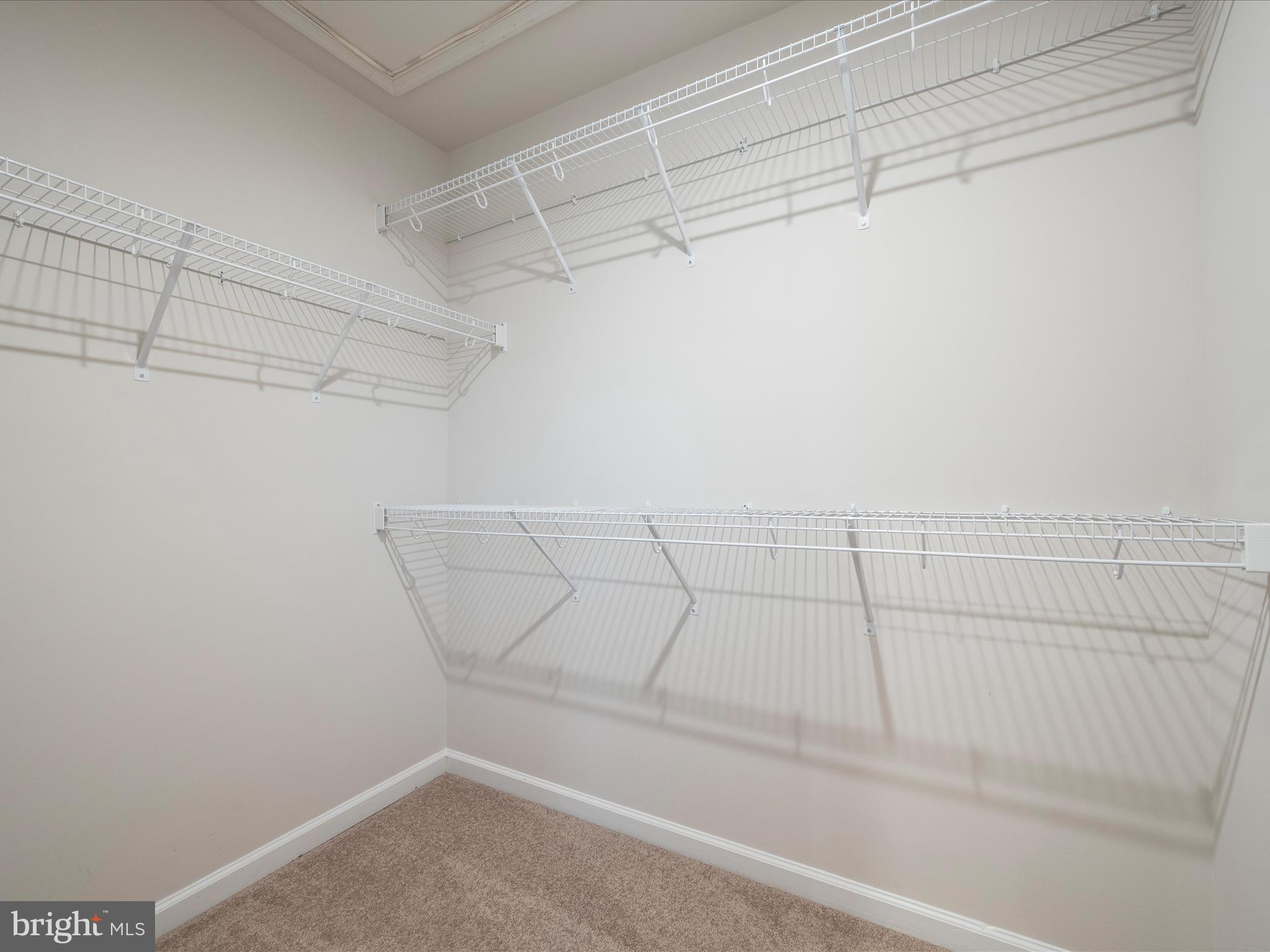 175 Presidents Pointe Avenue Ranson, WV 25438 - Photo 19 of 40 Primary Walk-In Closet