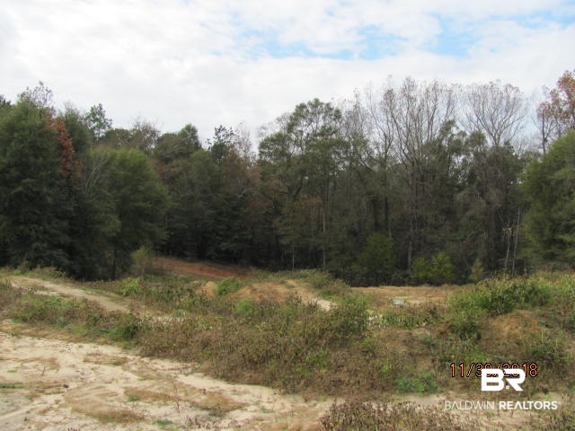 1075 Britton Lige Road Millry, AL 36558 - Photo 5 of 19 Acreage