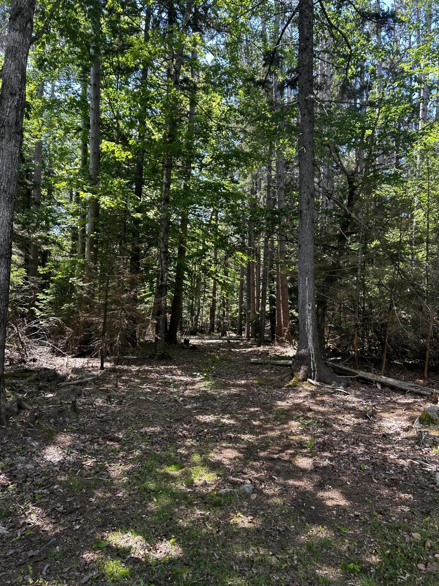 9 Beech Ridge Lane Otis, ME 04605 - Photo 10 of 10 IMG_0916-preview