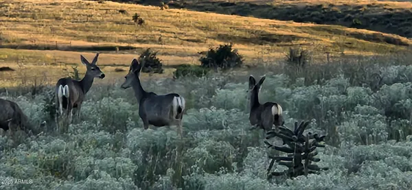 $989,000 | 4 Mustang Trail, Sonoita, AZ 85637