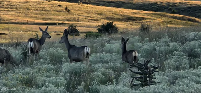 $989,000 | 4 Mustang Trail, Sonoita, AZ 85637