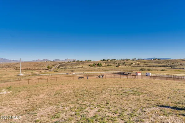 a living room with furniture a fireplace and a potted plant