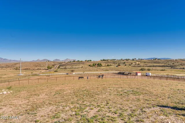 a living room with furniture a fireplace and a potted plant