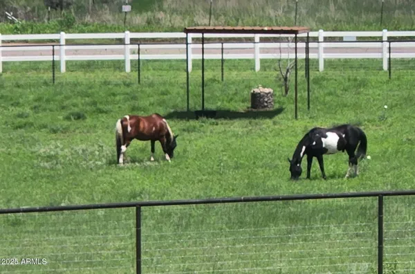 a view of a swimming pool with an ocean view
