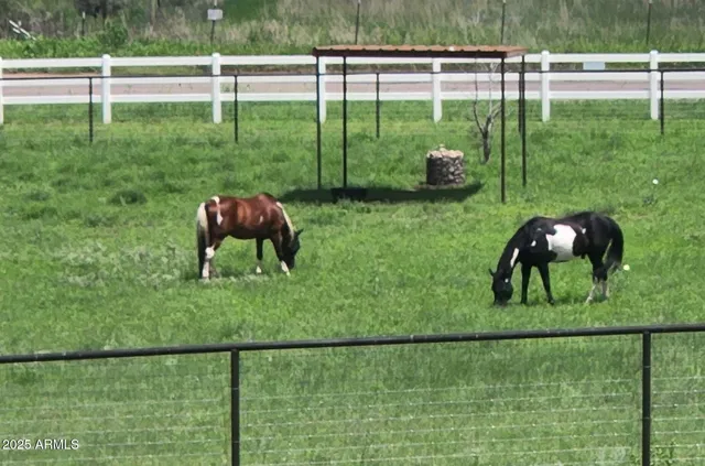 a view of a swimming pool with an ocean view