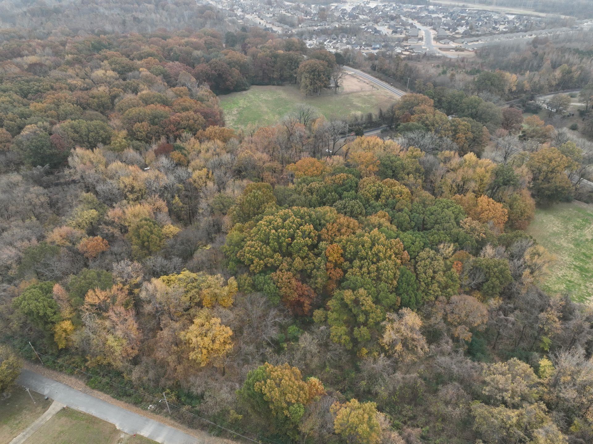 South Weaver Road Memphis, TN 38109 - Photo 11 of 25 a view of a forest with a street