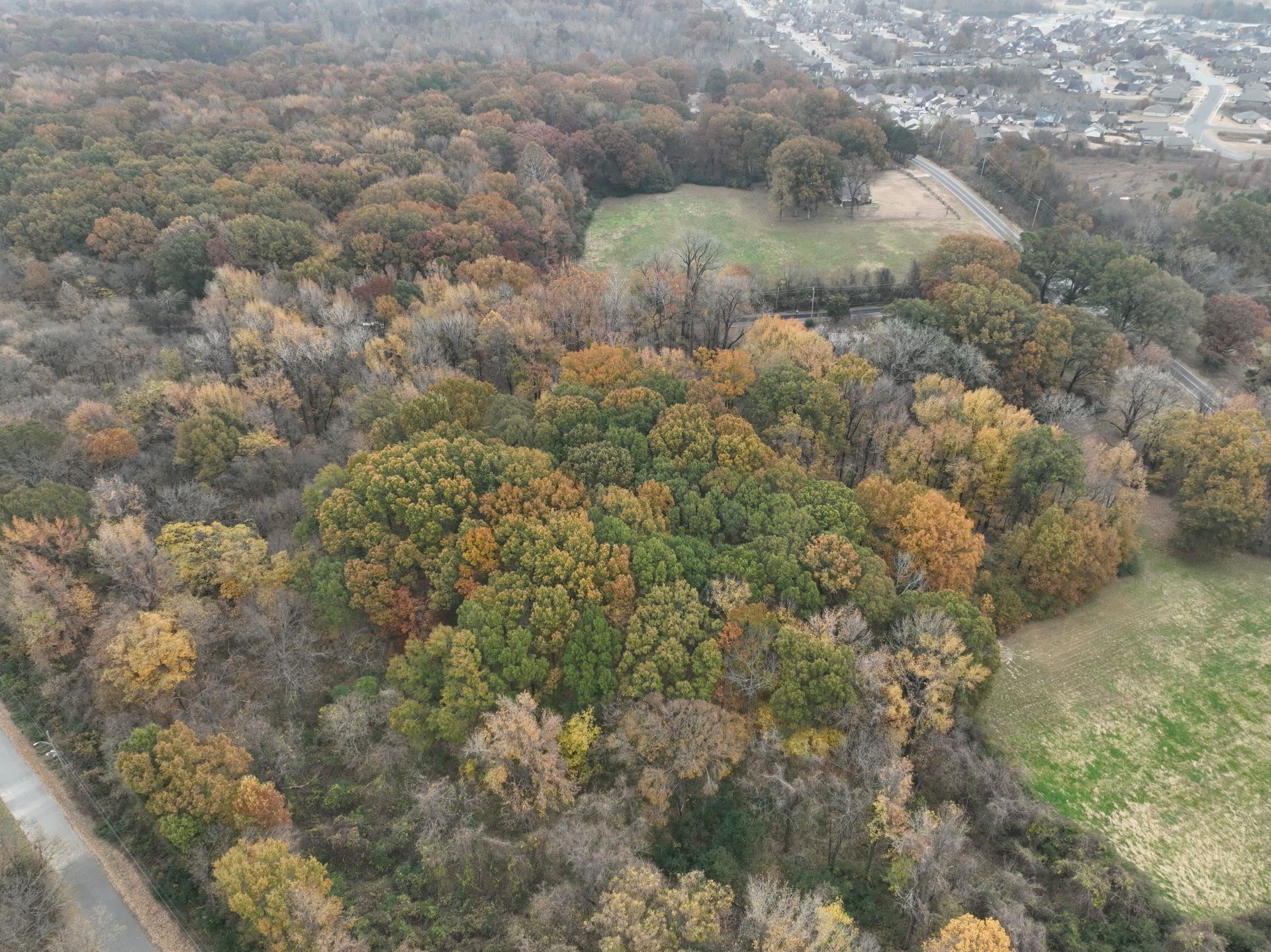 South Weaver Road Memphis, TN 38109 - Photo 12 of 25 a view of a forest with a street
